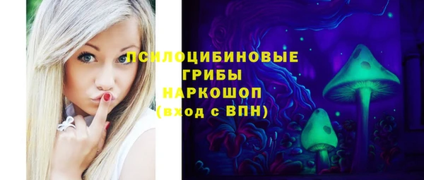 винт Богородицк