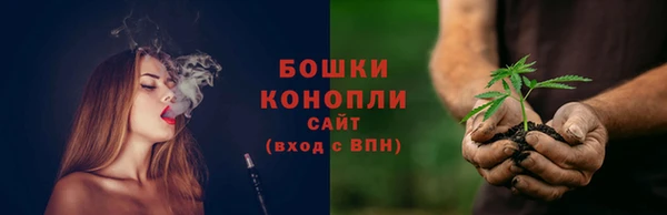 спиды Богородск