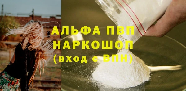 спиды Богородск