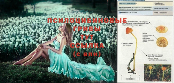 дистиллят марихуана Богданович