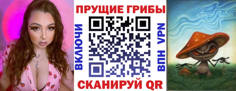 Псилоцибиновые грибы Cubensis  Славгород 